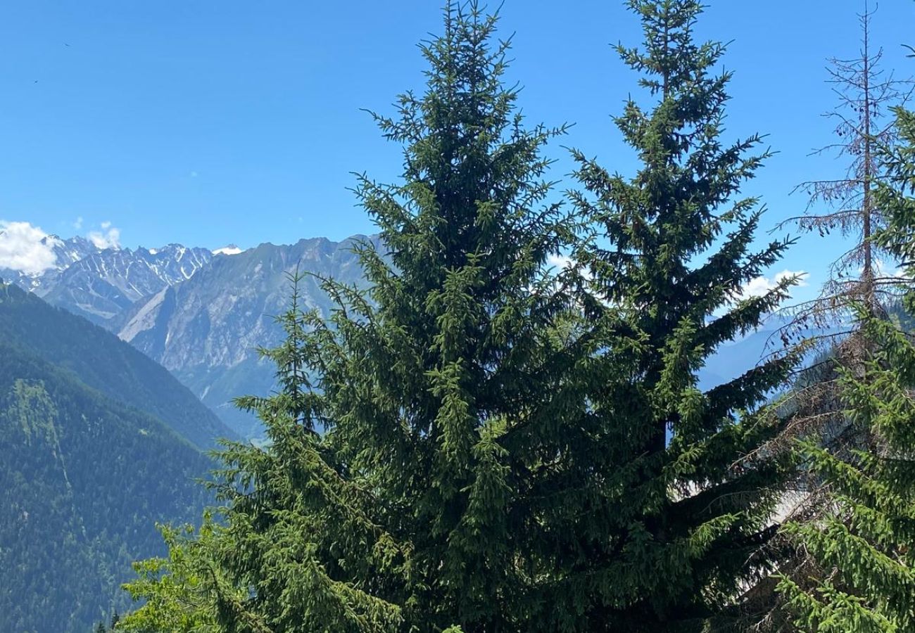 Apartment in Verbier - Asters 8 Verbier - close to center